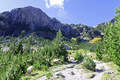 Vallée de Valbona - Alpes Albanaises - Albanie 