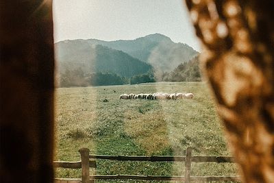 Votre hébergement en Albanie