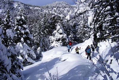 Pyrénées - France