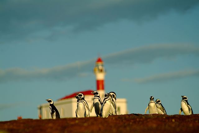 Voyage Fjords de Patagonie et Cap Horn