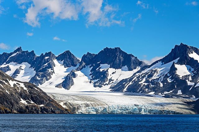 Voyage Expédition aux Iles Malouines et Géorgie du Sud