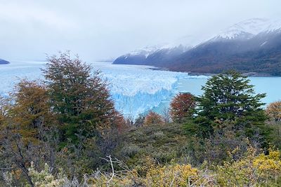 Perito Moreno - El Calafate - Patagonie - Argentine 