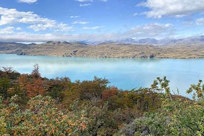 Lac Nordenskjöld - Parc Torres del Paine - Patagonie - Chili