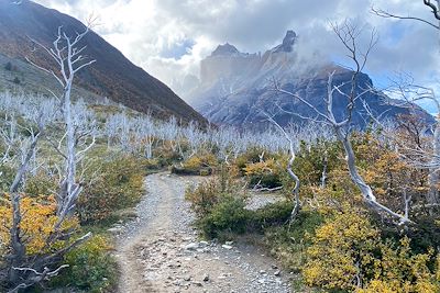 Trek W - Parc Torres del Paine - Patagonie - Chili