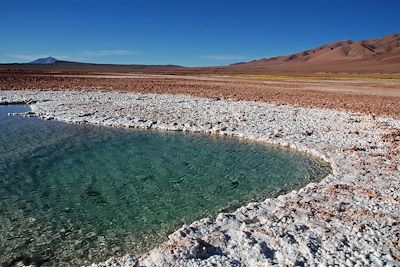 Tolar Grande - Nord-Ouest argentin - Argentine