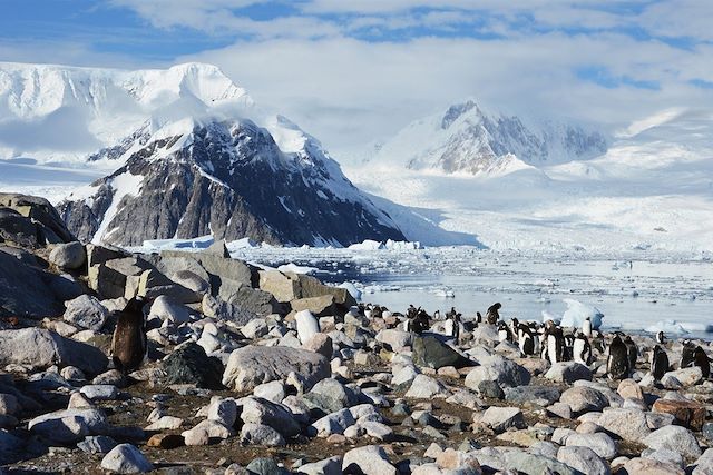 Voyage Péninsule Antarctique à bord du Persévérance