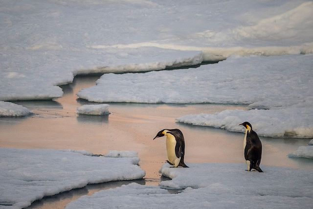 Voyage Sur les traces de Shackleton