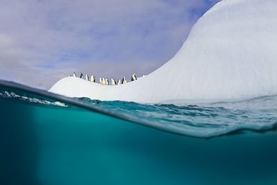 Voyage Péninsule antarctique