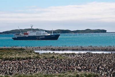 Le Plancius en Géorgie du Sud - Antarctique