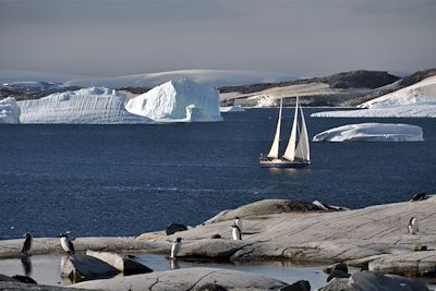 Faune et glaces de l'Antarctique - Antarctique