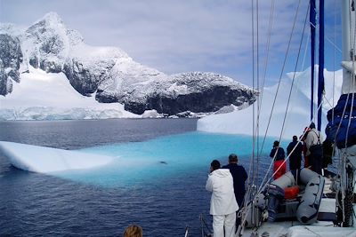 Faune et glaces de l'Antarctique - Antarctique