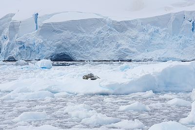 Orne Harbour - Antarctique