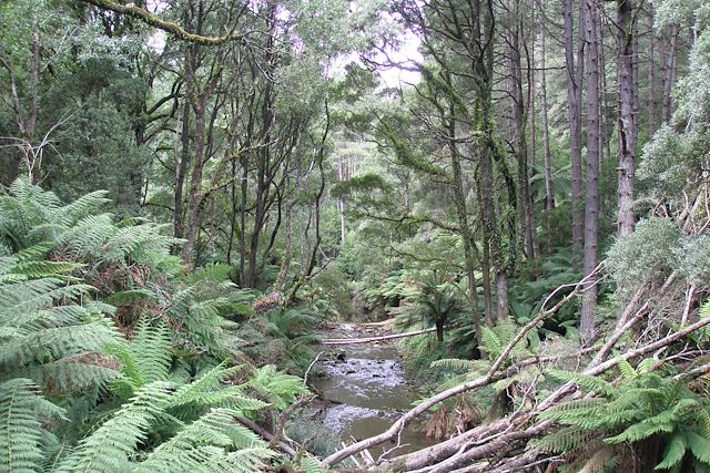 Voyage Roadtrip inoubliable sur la Great Ocean Road 