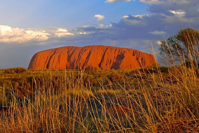 Voyage En famille, Sydney, wildlife et terres aborigènes