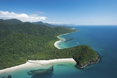 Cape Tribulation - Daintree National Park- Queensland - Australie 