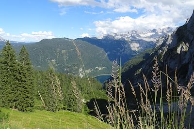 Vue sur le Dachstein - Autriche 