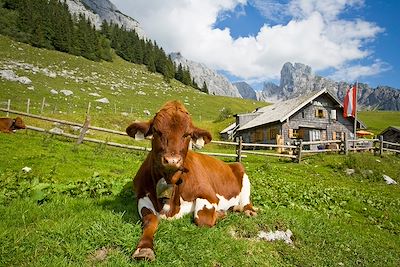 Gîte de Stuhlalm - Autriche 