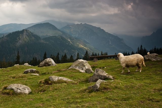 Voyage Découverte de l'Europe centrale et des Carpates