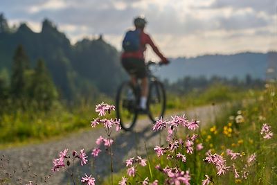 Vélo dans les Alpes autrichiennes - Autriche