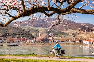 Danube, vélo et hôtels de charme