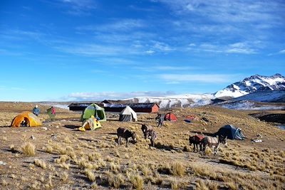 Laguna Ajwani - Cordillère Royale - Bolivie