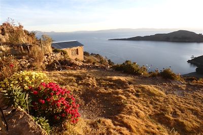 Lac Titicaca - Bolivie