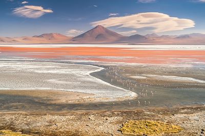 Laguna Colorada - Bolivie