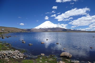 Le volcan Nevado Sajama - Bolivie