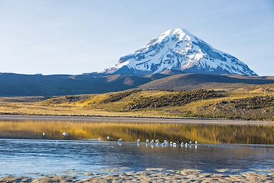 Volcan Nevado Sajama - Bolivie