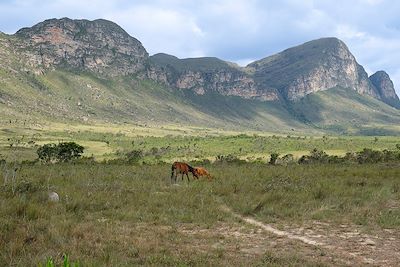 Trek dans la vallée do Pati - Chapada Diamantina - Brésil