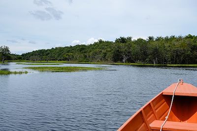 Balade en bateau sur le Rio Negro - Amazonie - Brésil