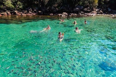 Lagoa azul - Ilha Grande - État de Rio de Janeiro - Brésil