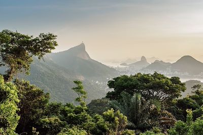 Forêt de Tijuca en direction de Rio de Janeiro - Brésil