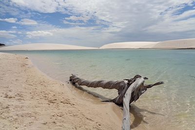 Parc national de Lençóis Maranhenses - Etat de Maranhao - Brésil