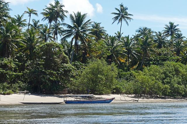 Voyage Chapada Diamantina et littoral du nordeste 