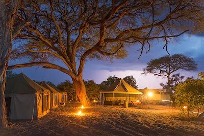 Campement au Botswana