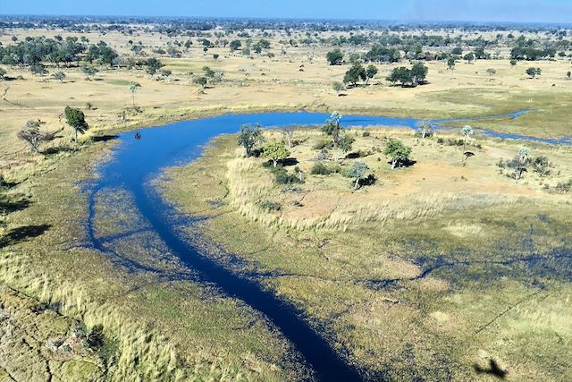 Voyage Botswana : entre ciel et terre