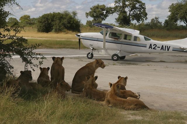 Voyage Botswana : entre ciel et terre