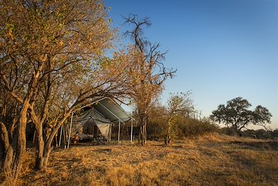 Safari Botswana