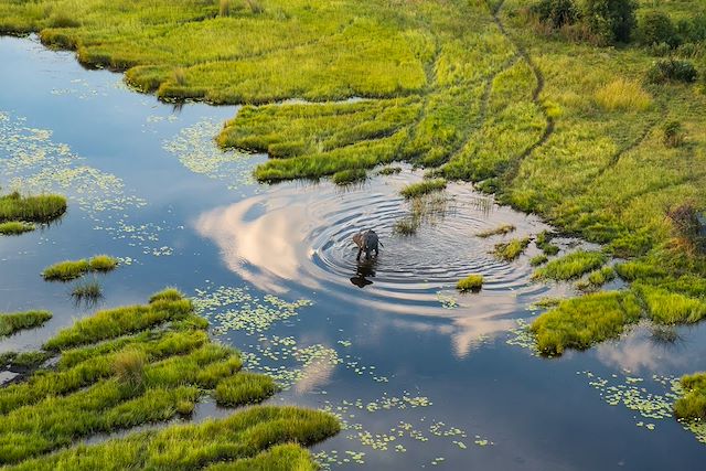 Voyage Botswana : le paradis des petits explorateurs