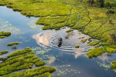 Delta de l'Okavango - Botswana