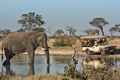 Savute Elephant Camp - Botswana