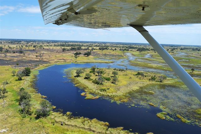 Voyage Au coeur des réserves animalières du Botswana