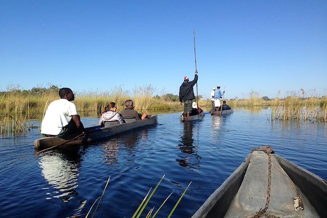 Voyage Au coeur des réserves animalières du Botswana