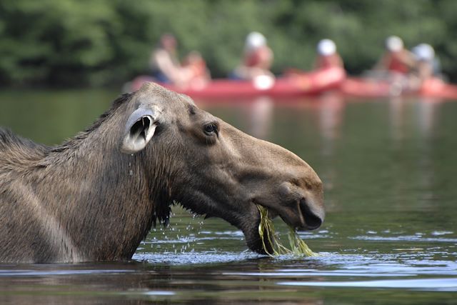 Voyage Québec : sur les rives du Saint-Laurent