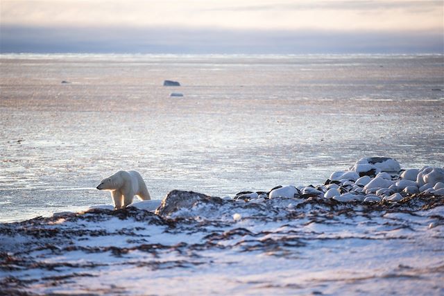 Voyage Au cœur du passage du Nord-Ouest 