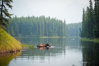 Elan - Alberta - Canada