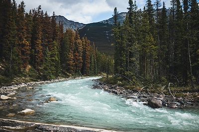 Parc national de Jasper - Alberta - Canada