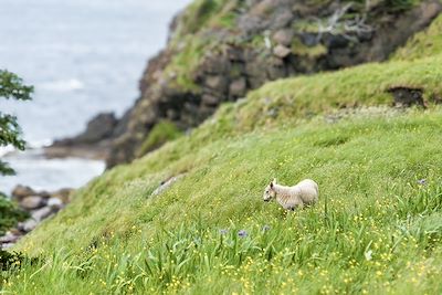 Parc national du Gros-Morne - Terre-Neuve et Labrador - Canada