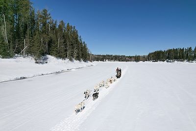 Expédition en chiens de traîneau - Québec - Canada